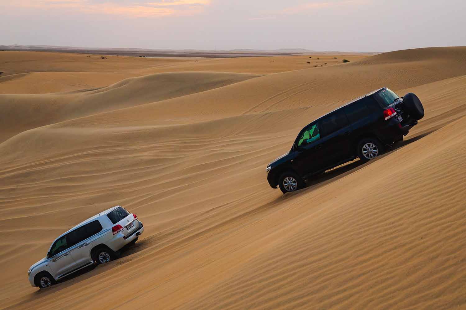 Half-Day Desert Safari