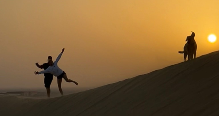 Desert Safari Night - Relax Under The Stars