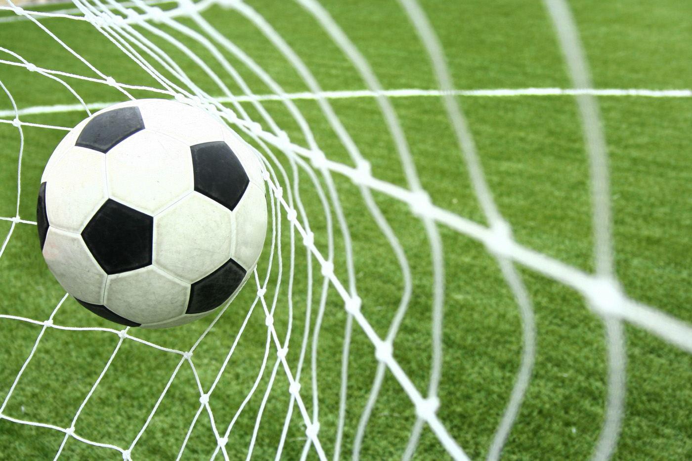 Sports Facility Rental