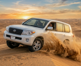 Desert Safari
