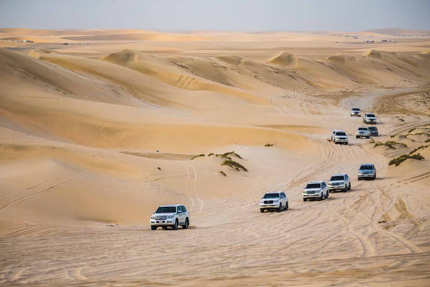 Half-Day Desert Safari