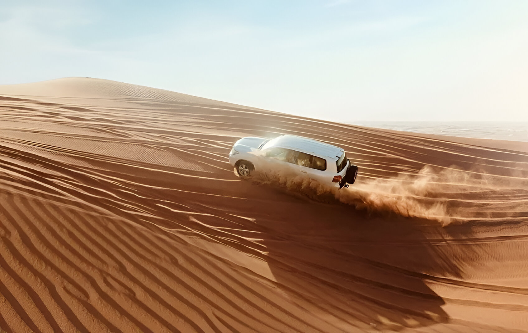 Doha Desert Safari with Options